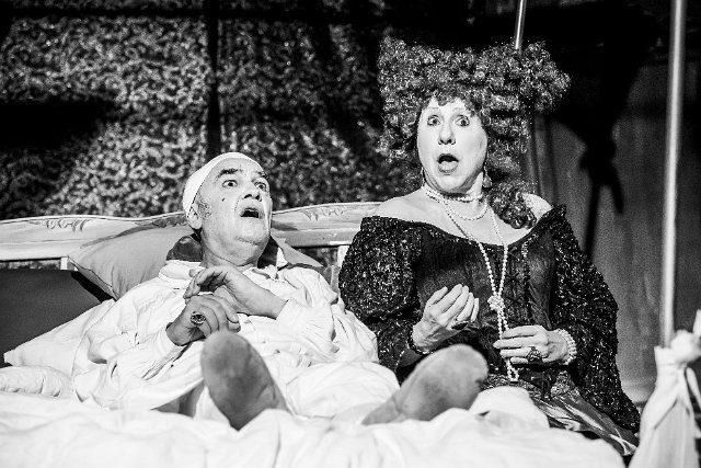 Der eingebildete Kranke (13) 